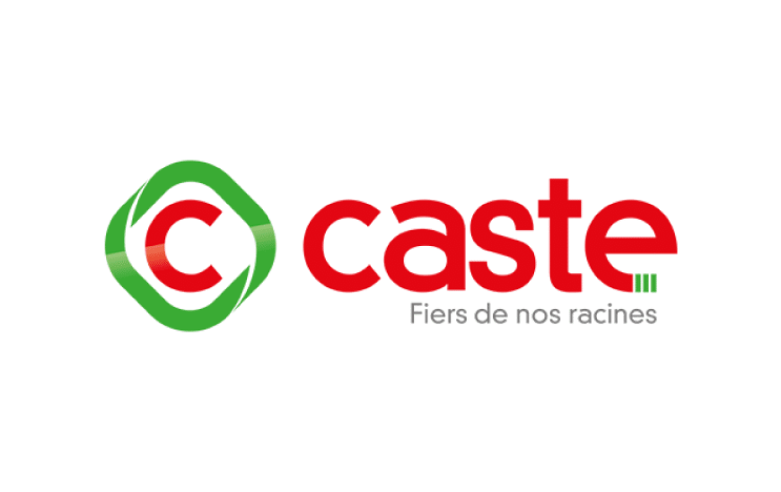 Article_logo_caste